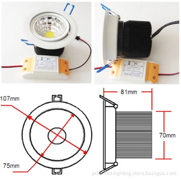 12W COB LED Ceiling Light (PR-DLCOB12W-CW)